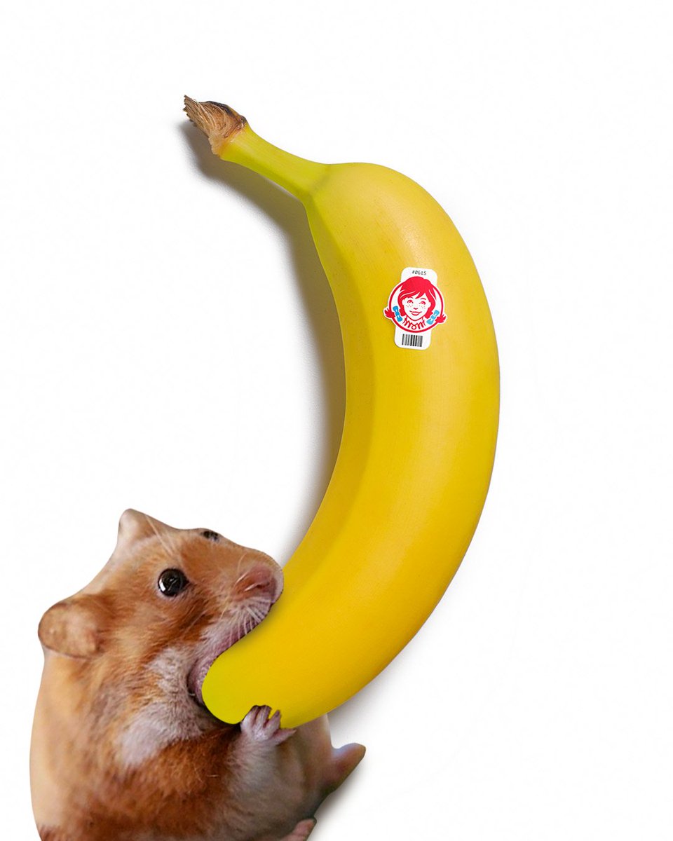 nomnom_solana's tweet photo. @yeyuannnnn 🐹🍌 https://t.co/ZWKK03PyKR