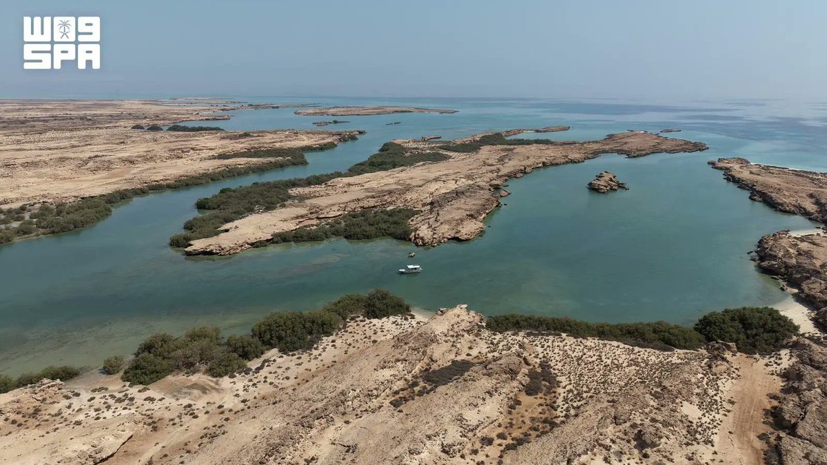 jazangov's tweet photo. #واس

غابات القندل في محافظة #جزر_فرسان.. مشهدٌ طبيعي أخّاذ يجمع بين زرقة المياه وخضرة الأشجار، ليشكّل وجهةً مميزة لزوار #عيد_الأضحى ومحبي الطبيعة.

https://t.co/T2ZPQa4r8v

#هذه_جازان https://t.co/lIw7XYzOSo