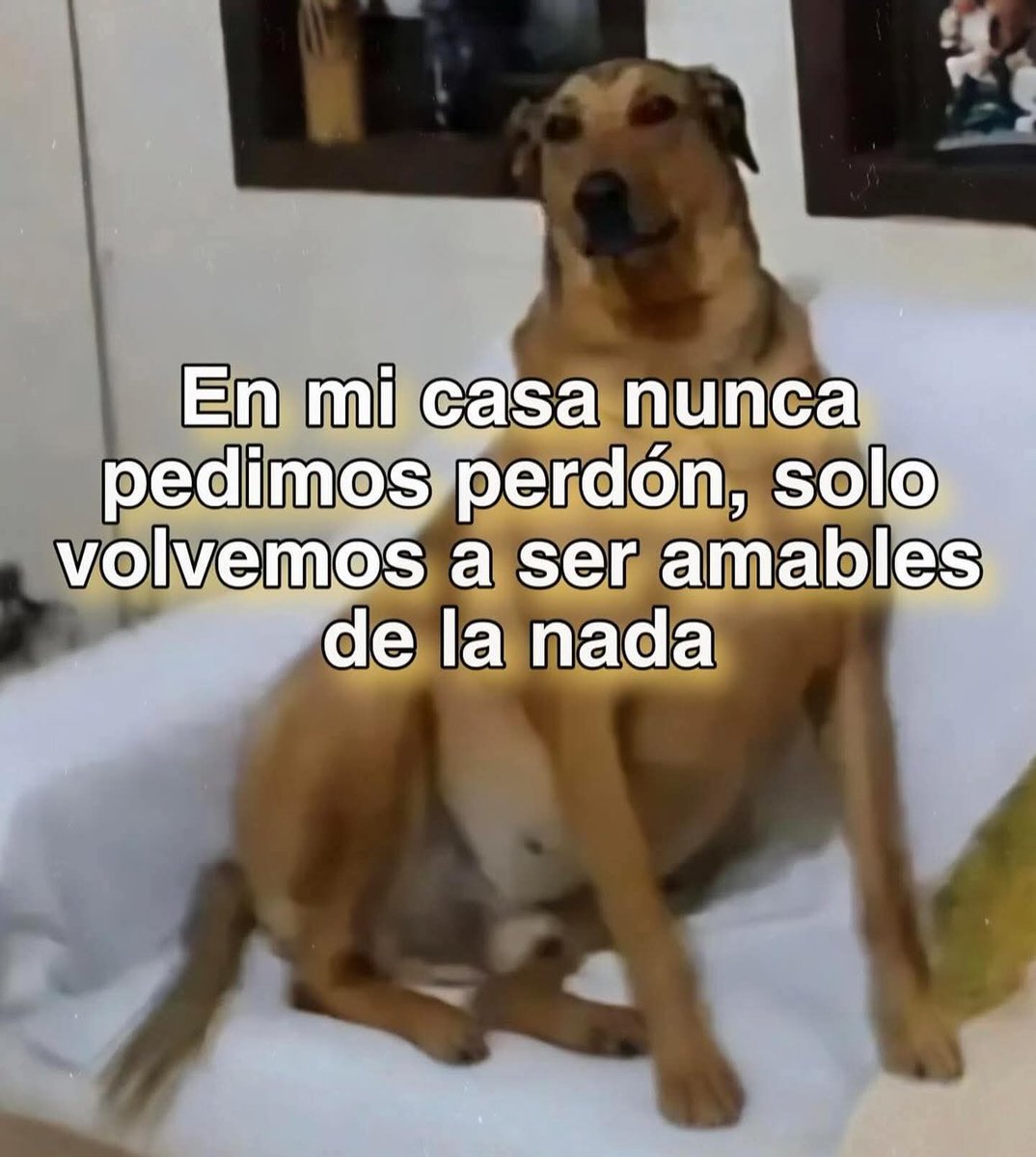 En Júpiter tweet media
