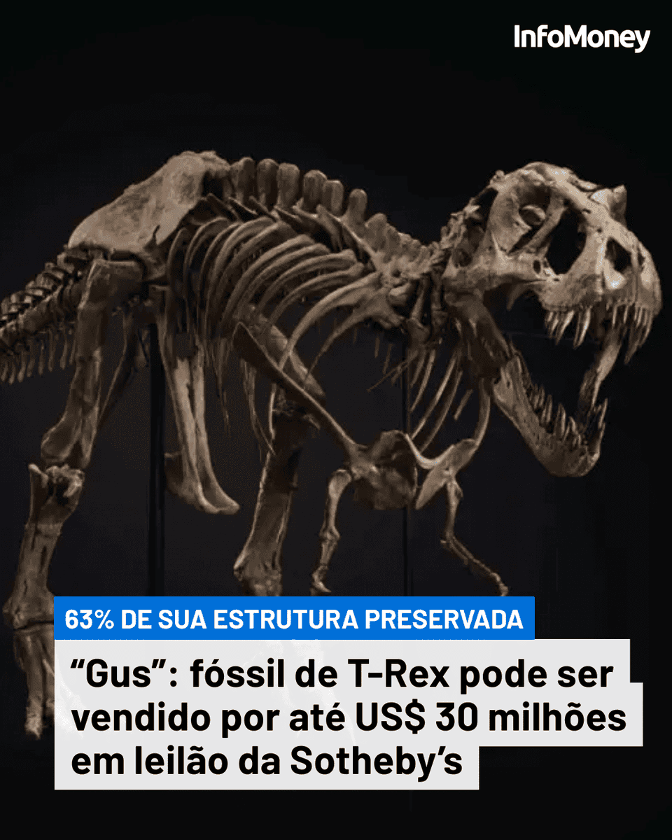 infomoney's tweet photo. Esqueleto é um dos mais completos já encontrados e pode se aproximar do recorde para dinossauros em leilões.
Leia mais no site do InfoMoney: https://t.co/pYlSjqoqAN
Foto: Divulgação/Christie's
#Dinossauros #Consumo #Leilão https://t.co/5oX9Unvk21
