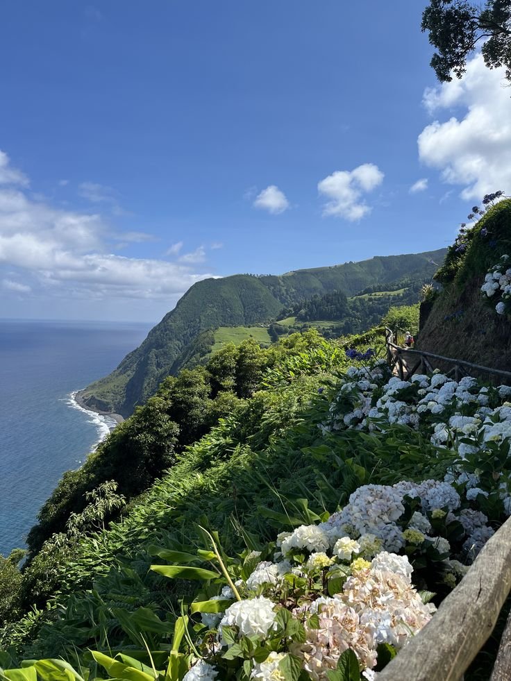 echoesofworld's tweet photo. Azores, Portugal https://t.co/ZbEEWnzXEc
