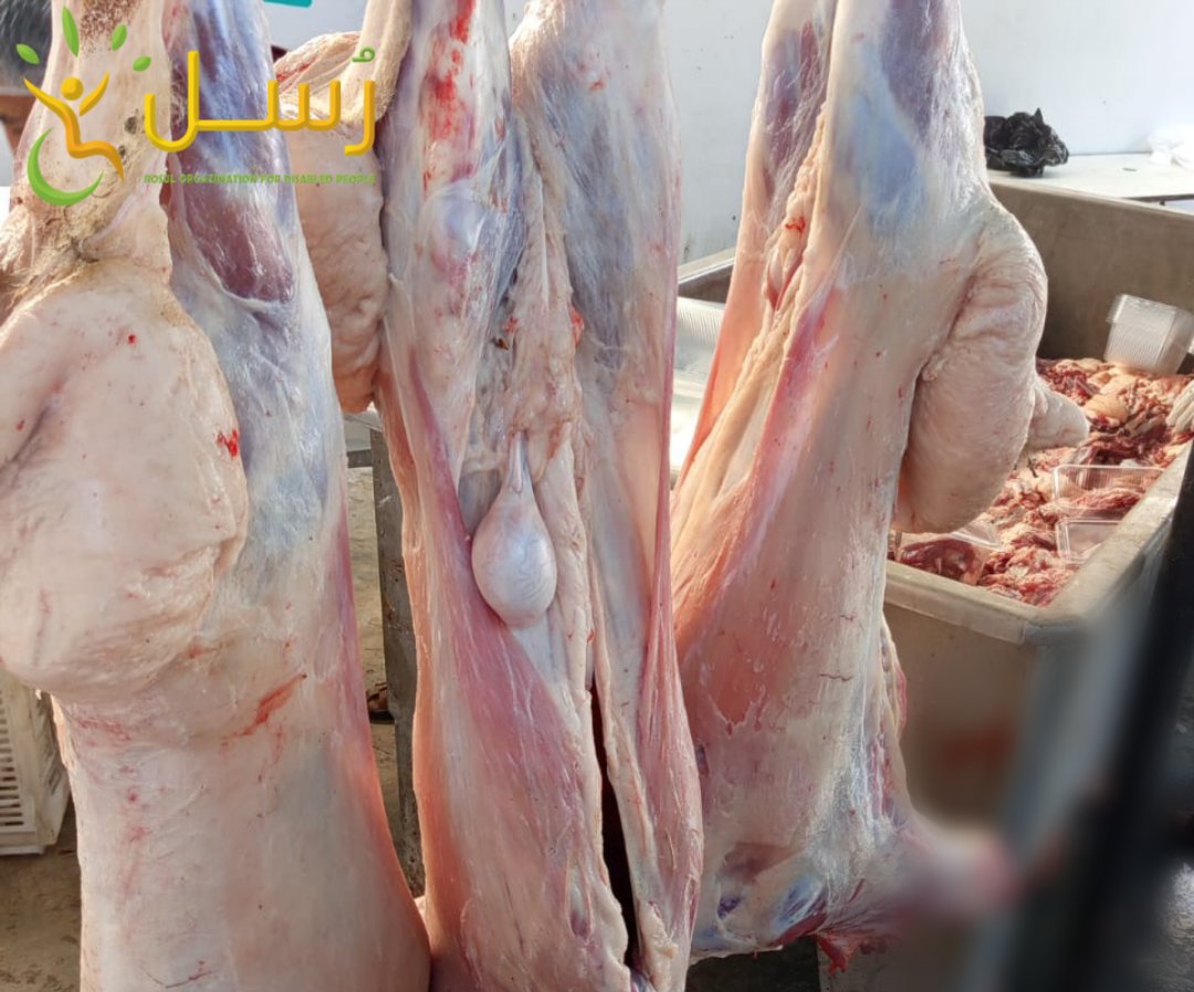 RousolTeam's tweet photo. جانب من تجهيز وتوزيع حصص لحوم الأضاحي ضمن حملة أضاحي العيد  للأشخاص ذوي الإعاقة 7
لنزرع فرحة العيد في قلوب تستحق أن تُحاط بالمحبة والاهتمام، ففي هذه الأيام المباركة نؤمن أن أجمل صور الخير هي أن تصل الرحمة إلى كل عائلة من عوائل الأشخاص ذوي الإعاقة https://t.co/weJmj3fx5G
