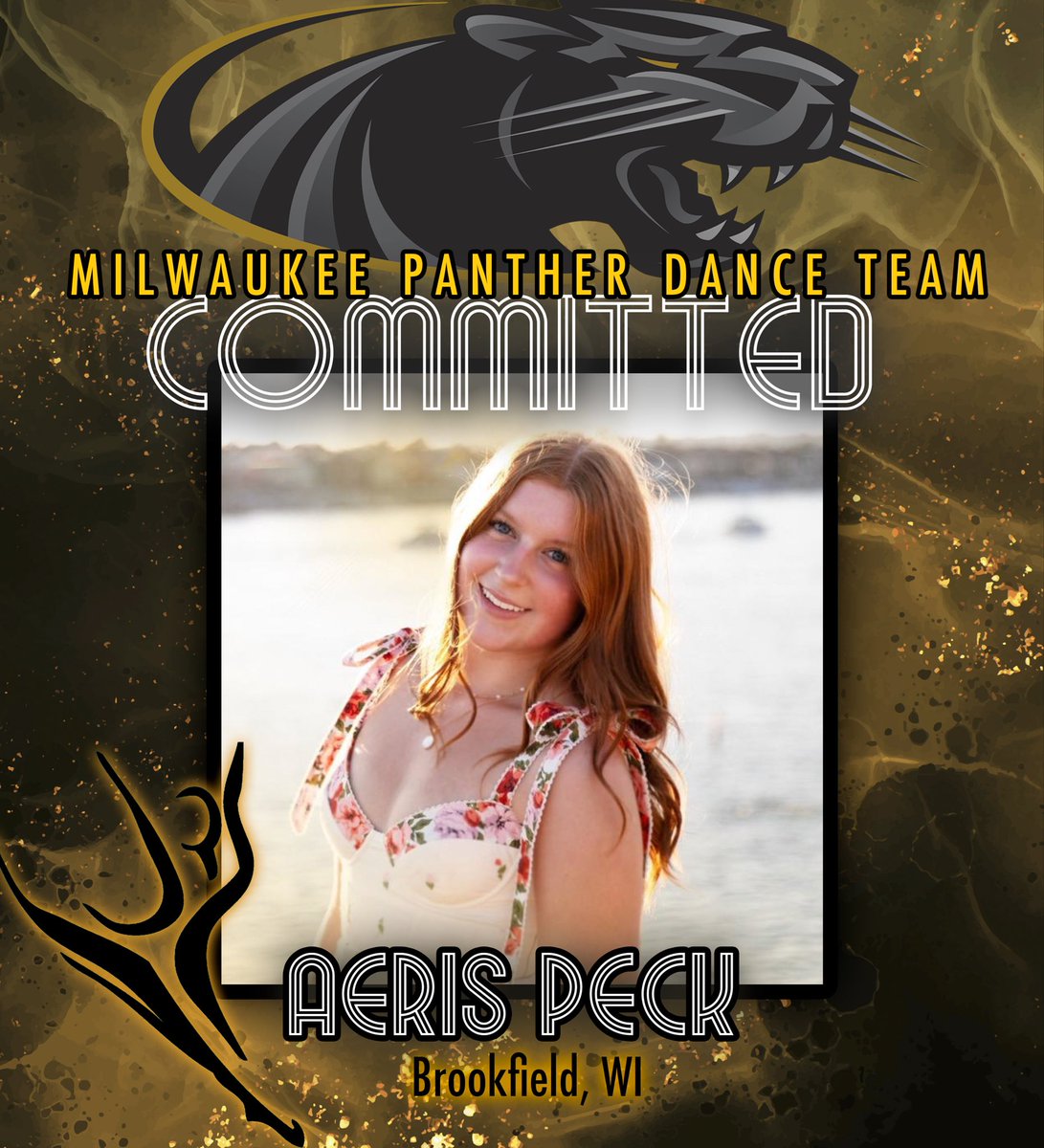Milwaukee Panther Dance Team tweet media