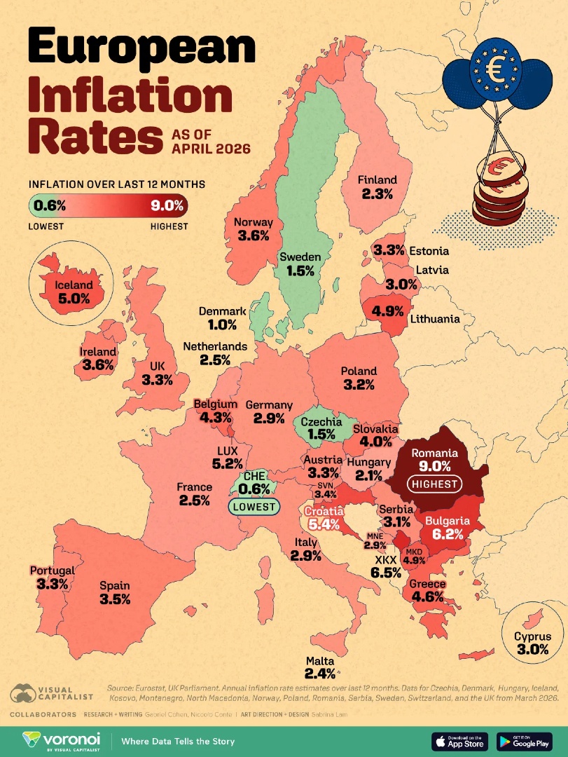 Visual Capitalist tweet media