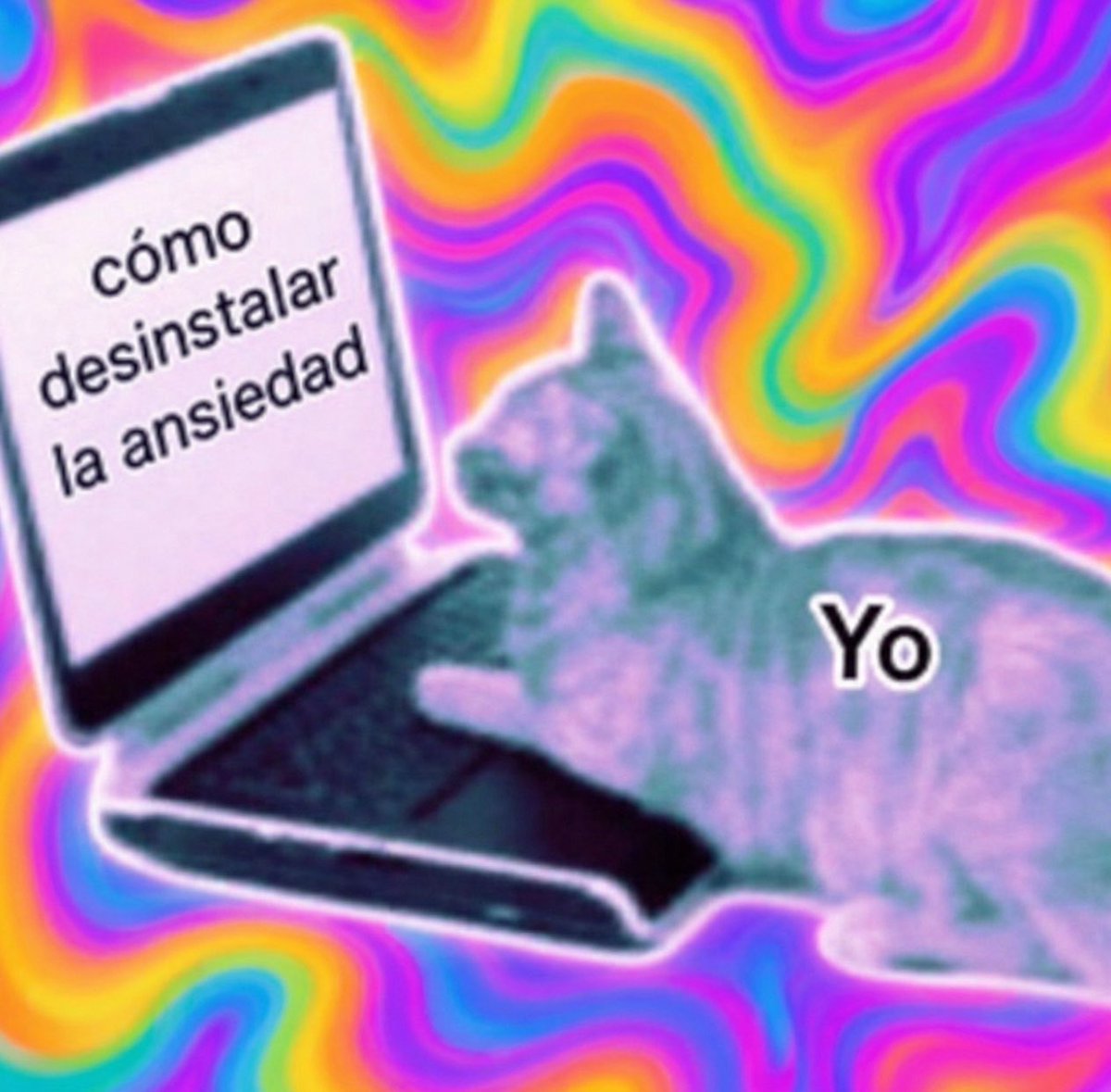 piña sin pizza tweet media