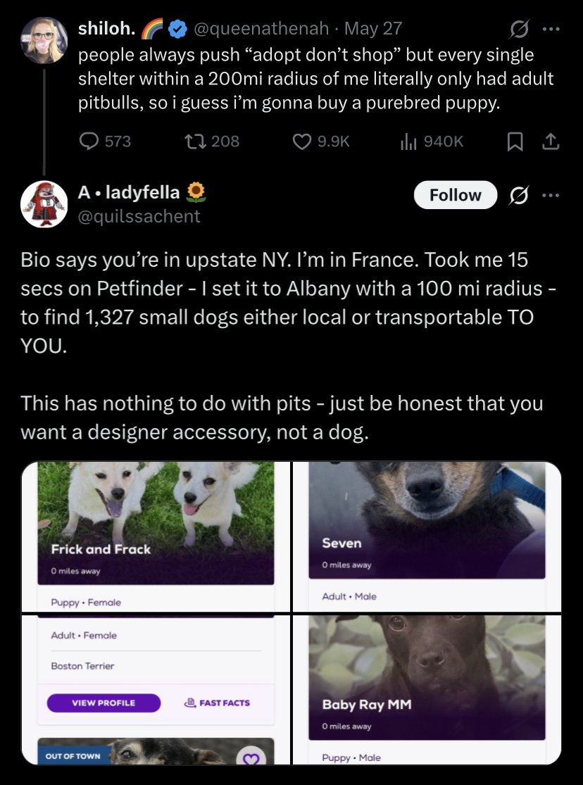 Foundational White Janissary tweet media