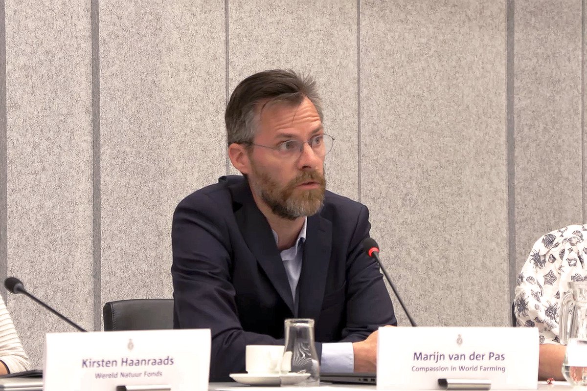 dierencoalitie's tweet photo. Directeur Marijn van der Pas van @ciwfnl nam woensdag deel aan een rondetafelgesprek in de Tweede Kamer over de toekomst van de visserij in Nederland. Lees of kijk zijn bijdrage terug op onze website, waar je ook veel meer kunt lezen over vissenwelzijn: https://t.co/MSOXfMzQ97 https://t.co/g1Cnq8y91O