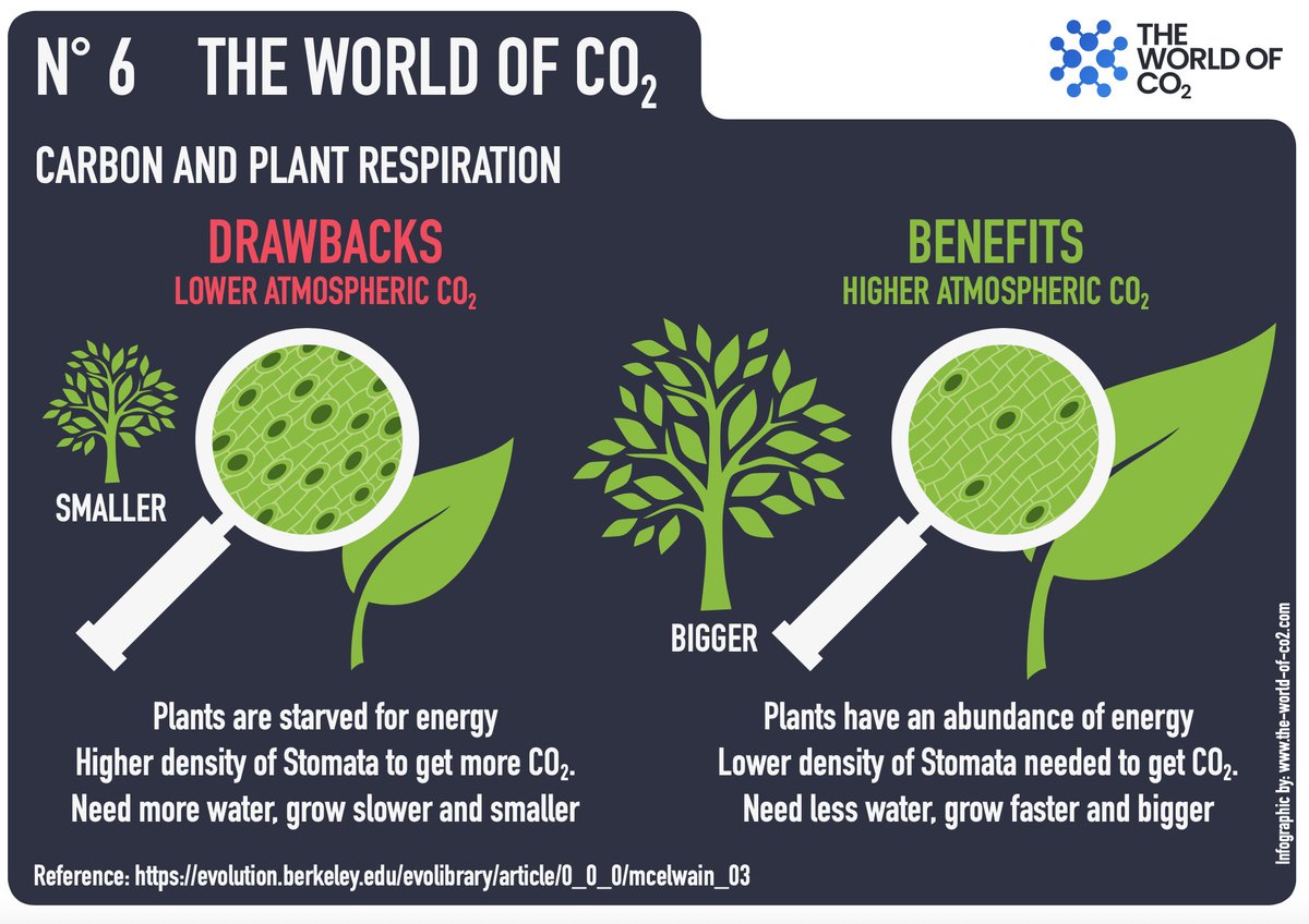 TomANelson's tweet photo. From Raymond Inauen's @theworldofco2: At higher CO2 levels, plants need less water and grow faster and bigger https://t.co/xkGdVi75WM