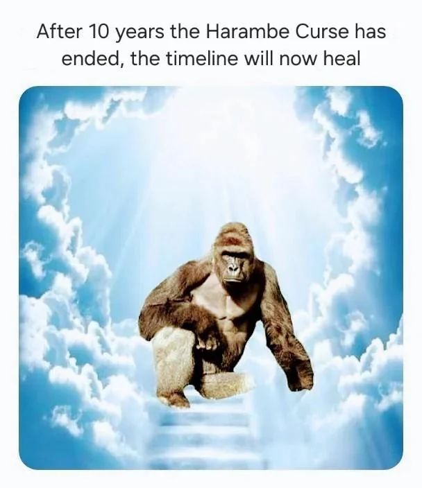 God tweet media