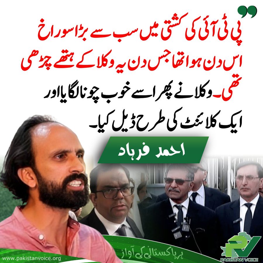 سعیدہ قاضی tweet media
