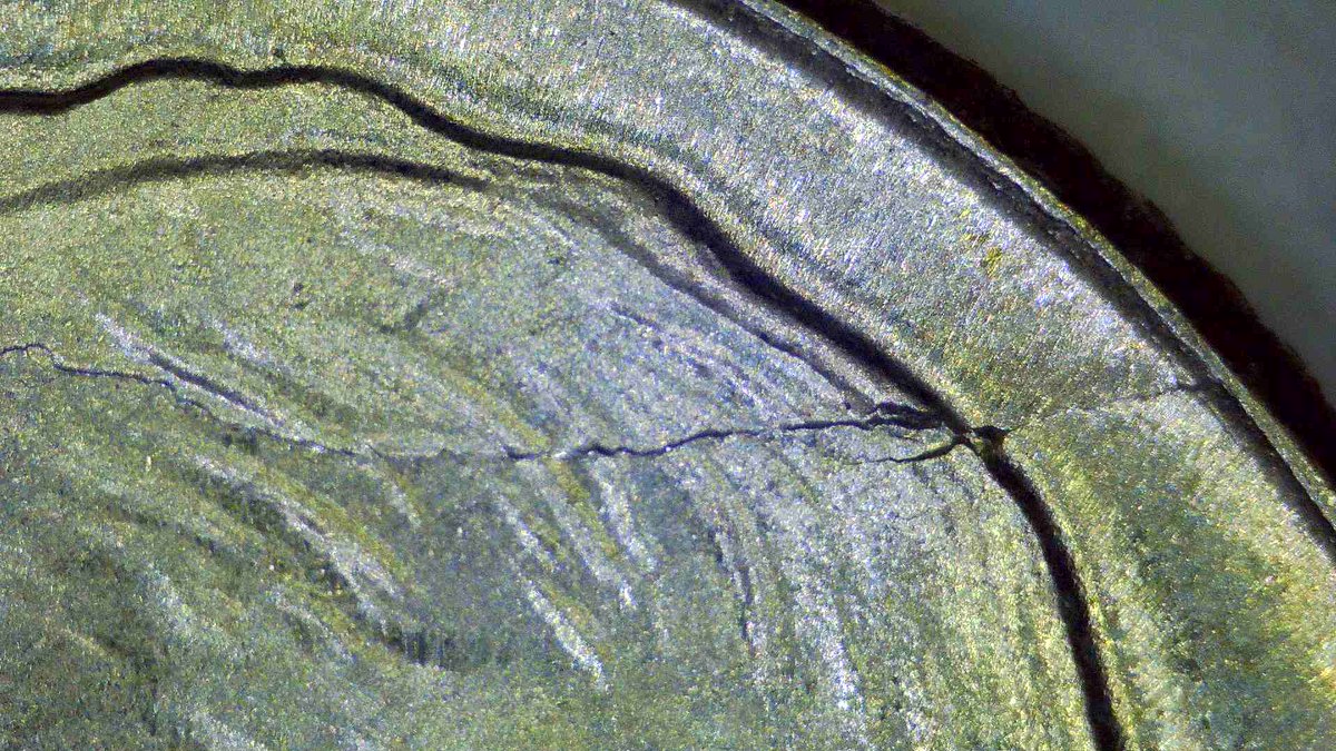 numisdex's tweet photo. Roosevelt grew horns.

This 1952 dime has die cracks extending right off the back of his head — collectors call it a "spiked head." The main crack runs from the rim across Roosevelt's skull.

Dies endure 35-150 tons of force per strike, hundreds of thousands of times. Eventually they crack. Metal gets forced into those fractures during striking, leaving raised lines on the finished coin.

 When cracks radiate from the top of a portrait, you get this horned look that's visible without magnification.

  Still in my collection.