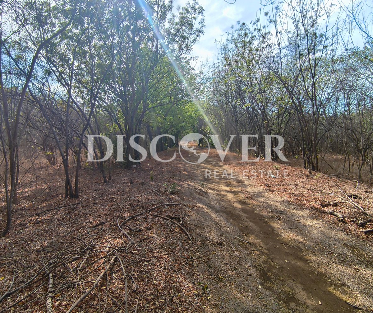 DiscoverRealtor's tweet photo. 🚧 Terreno en venta | Carretera Sabana Grande
📐  76,120 v²
💰 Venta: $600,000
🔑 ID: 15012

En zona estratégica con crecimiento industrial.

Más información:
🌐 https://t.co/E4KXv8APaX
Licencia de Corredor de Bienes Raíces INVUR-UCBR-PJ-N-0067-2024

#DiscoverRealEstate https://t.co/u1xHCxXnbm
