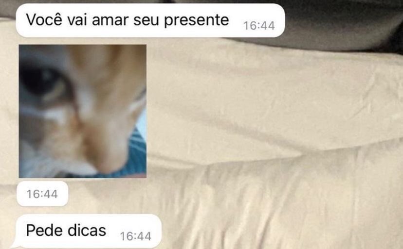 gustavo tweet media