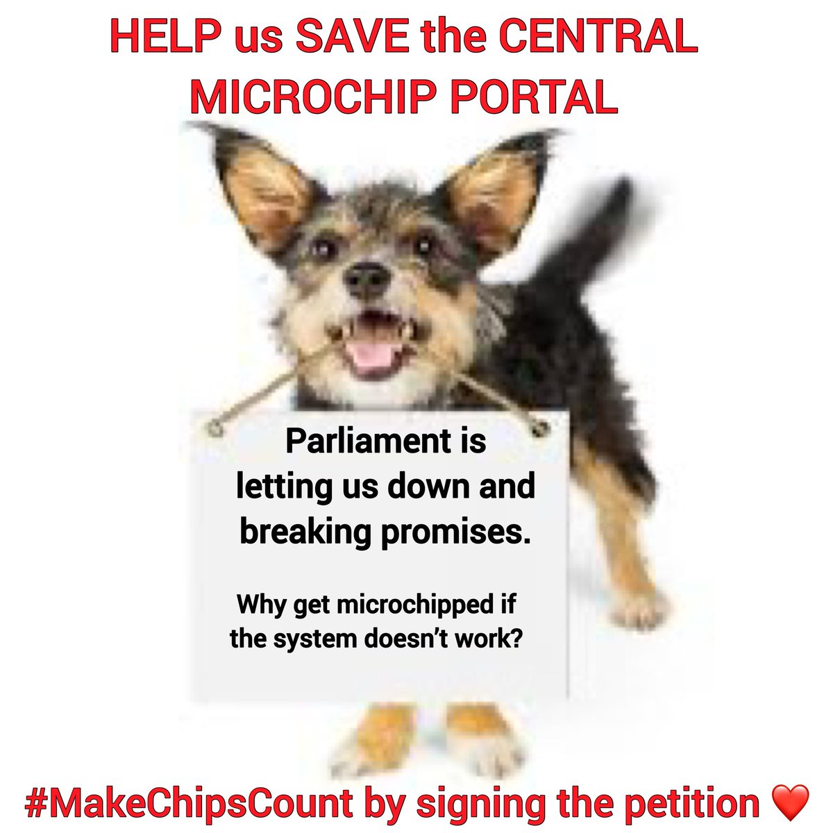 VetsGetScanning's tweet photo. Thank you 🐾❤️🐾
24,000 signatures another 76,000 needed to trigger a debate in parliament, petition closes on 5th June 2026!! Please help save the Central Microchip Portal a single login available for vets, wardens and police, 24/7 linking all 25 UK microchip databases https://t.co/vuTl8q6oWt

#MakeChipsCount #ScanMe #PetTheftReform #Lost #Microchipped #PetTheftReform