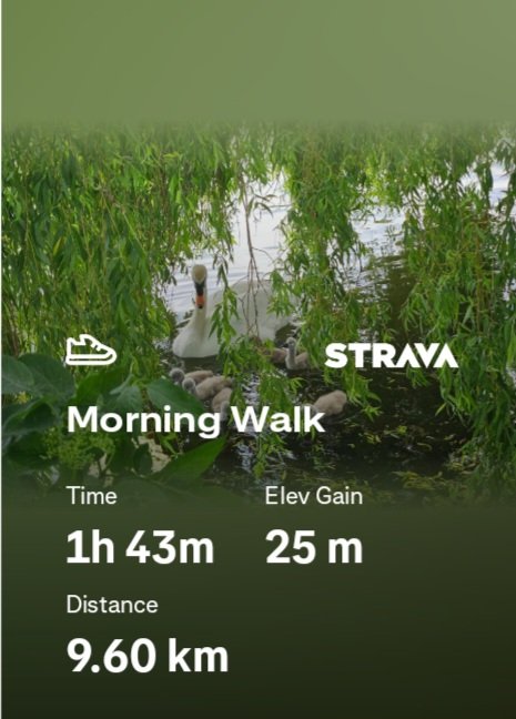whiteumbro99's tweet photo. Morning #walk ✅️ 18K steps for the day
#walking #stpes #morningcardio https://t.co/0YMAKq51yE