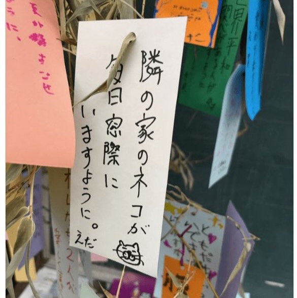ボウフラ tweet media