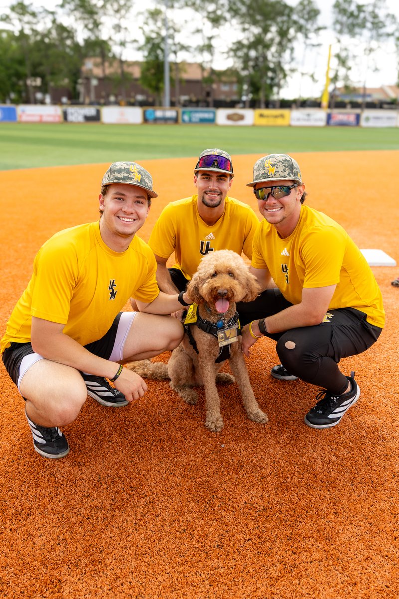 SouthernMissBSB's tweet photo. https://t.co/ZRup8Rf0Vc