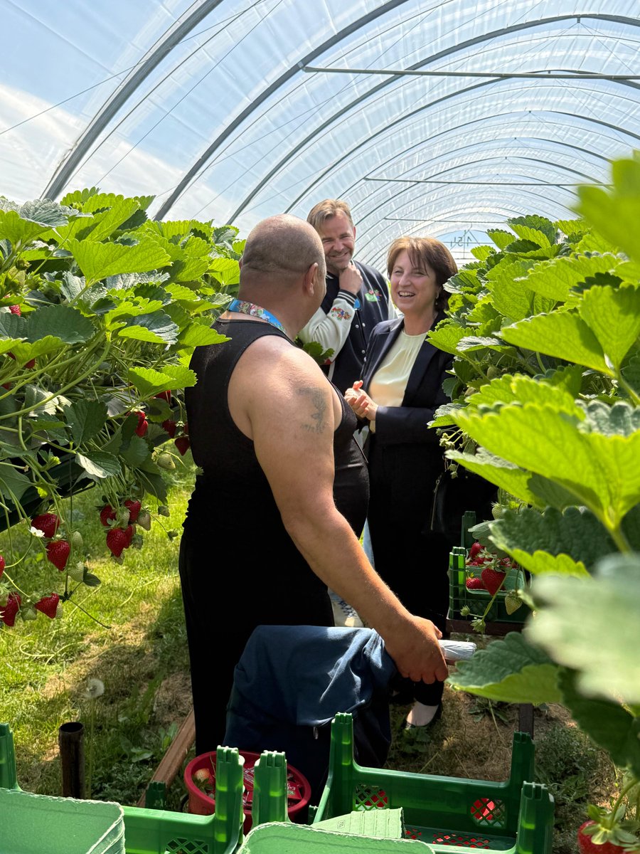 ROEmbGermany's tweet photo. The 🇷🇴Embassy in Berlin remains committed to supporting the 🇷🇴 community in #Germany 🇩🇪 and the rights of 🇷🇴 seasonal workers. Ambassador @AStanescuRO and the Labor &amp; Social Affairs Attaché engaged today in direct dialogue with 🇷🇴 workers at Karls Erlebnis Dorf-Röversgagen🍓farm. https://t.co/3dkQ8YikYC