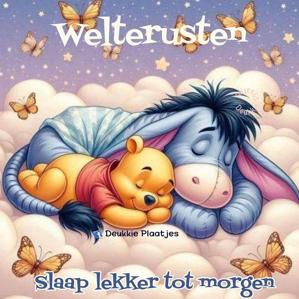 Lex Verzijlbergen tweet media