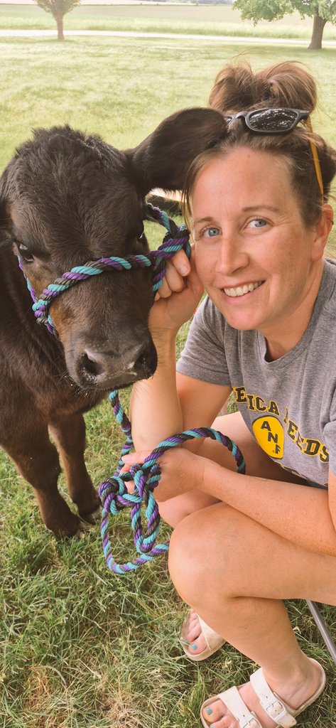 RickelmanSarah's tweet photo. Cattle make me happy♥️
#heifercalf #crossbreed #cattle #ANF #livingmybestlife #livingourlegacy https://t.co/8cLtJthSSF