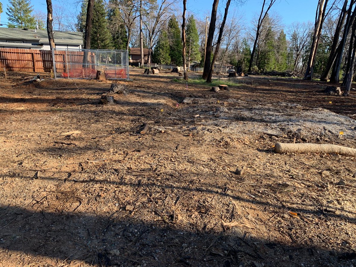 Properkey's tweet photo. 6321 Delta Ct, Magalia, CA 95954

Affordable building lot in the scenic foothills of Magalia!
This flat, usable 0.24-acre parcel (approx. 10,454 sq ft) is level with the street and ready for your vision. 

Surrounded by towering pines in a peaceful suburban foothills community, this lot offers a quiet setting with easy access to hiking, fishing, lakes, and outdoor recreation.

Priced at just $25,000, this is an excellent opportunity to own land in the beautiful Magalia area.

https://t.co/zvzbJxPzOf
