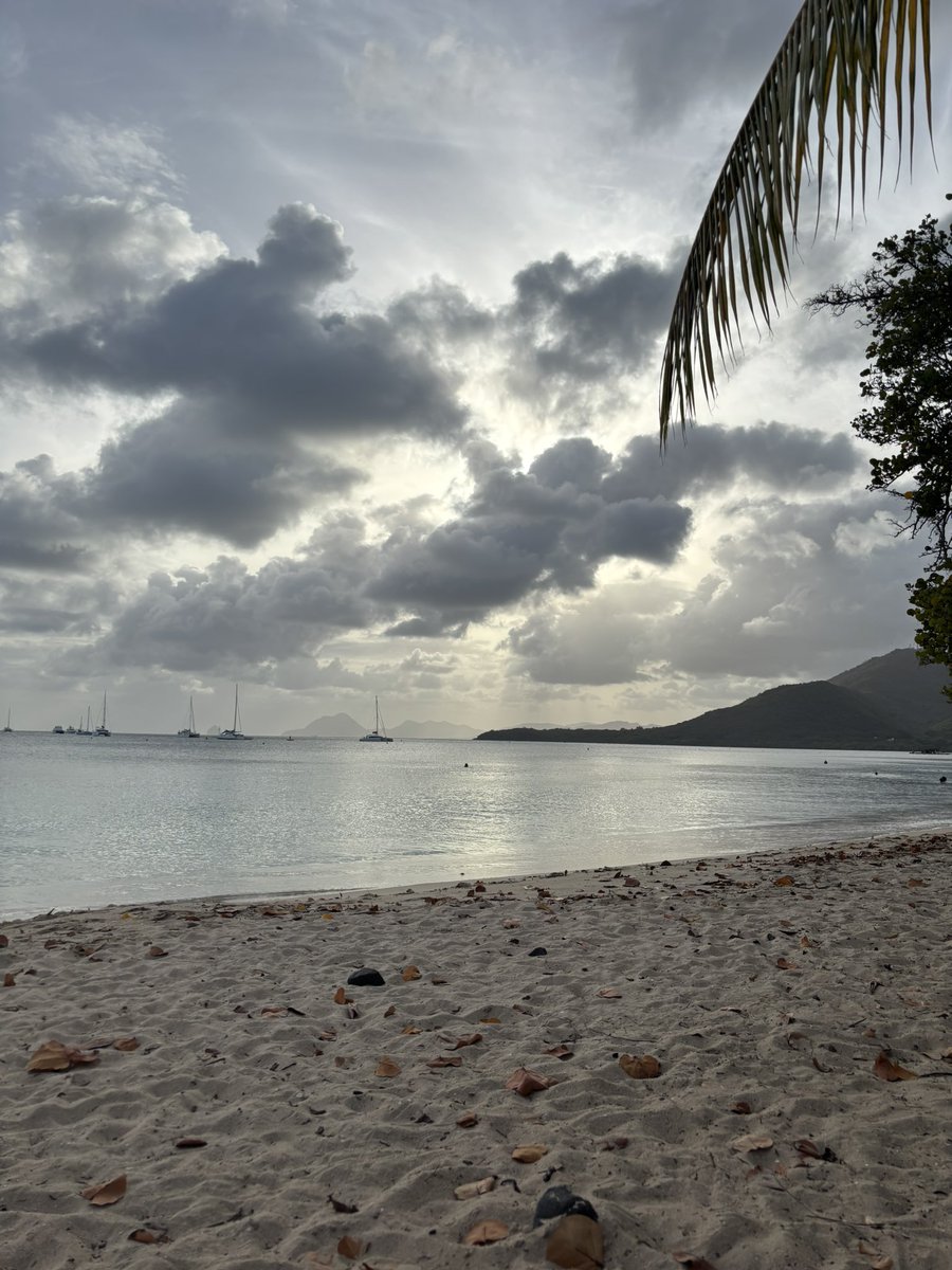 xKevin60's tweet photo. 🌅🌴 https://t.co/wVMkGIzXjy
