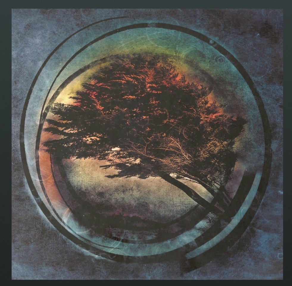siervosdelheavy's tweet photo. Los polacos debutaron en 2009  con este increíble disco. Post Metal instrumental de una belleza y una melancolía inigualable. Una joya.

- Tides From Nebula - Aura (2009)

https://t.co/Dzu8dvnR9n

https://t.co/Ets3FrSbXf https://t.co/dWn4ow2ATI