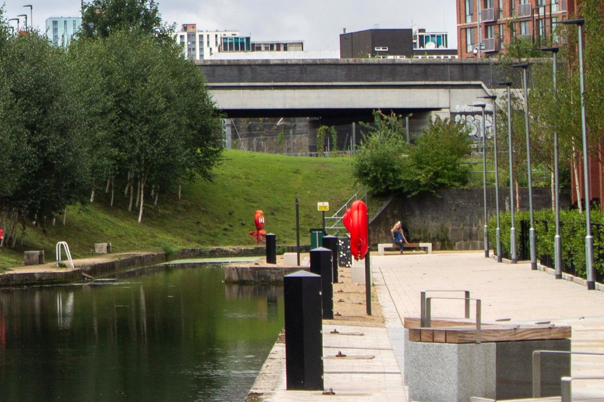 PhotoTjv's tweet photo. Residential Waterside

(Salford, Manchester, July 2025)

#photography #streetphotography #urbanphotography #landscapephotography #urbanlandscape #cityscape #urbanwaterways #urbangreenery #canallock #canal #MiddlewoodLocksSalford #Salford #Manchester https://t.co/zWcbActVvx