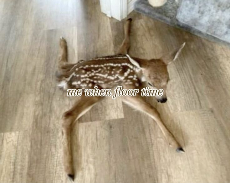 ipostdeer's tweet photo. https://t.co/YRuHzjIjQ3