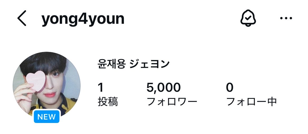 🥟 tweet media