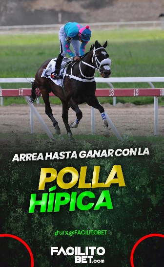 FacilitoBet's tweet photo. ¡Arrea hasta ganar con la Polla Hípica! 🏇💨

La emoción de las carreras se vive mejor en https://t.co/Fx6YmcIh6I. Arma tus cuadres, demuestra tu conocimiento hípico y gana en grande. 🤑💰

¡Entra hoy mismo y sella tu jugada ganadora! 🏇🔥

#PollaHípica #FacilitoBet #CobraSeguro https://t.co/jgRZ6VirLN