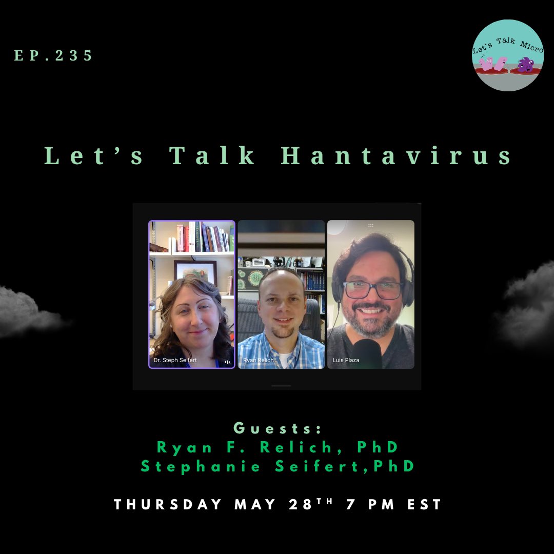 Letstalkmicro1's tweet photo. Episode alert! Tonight at 7 PM EST 🎙️🧫

What exactly are hantaviruses? Dr. Ryan Relich and Dr. Stephanie Seifert join Let’s Talk Micro to discuss hantavirus transmission, rodent reservoirs, spillover into humans, and the ecology behind these important zoonotic viruses https://t.co/eJHIKa4QgK
