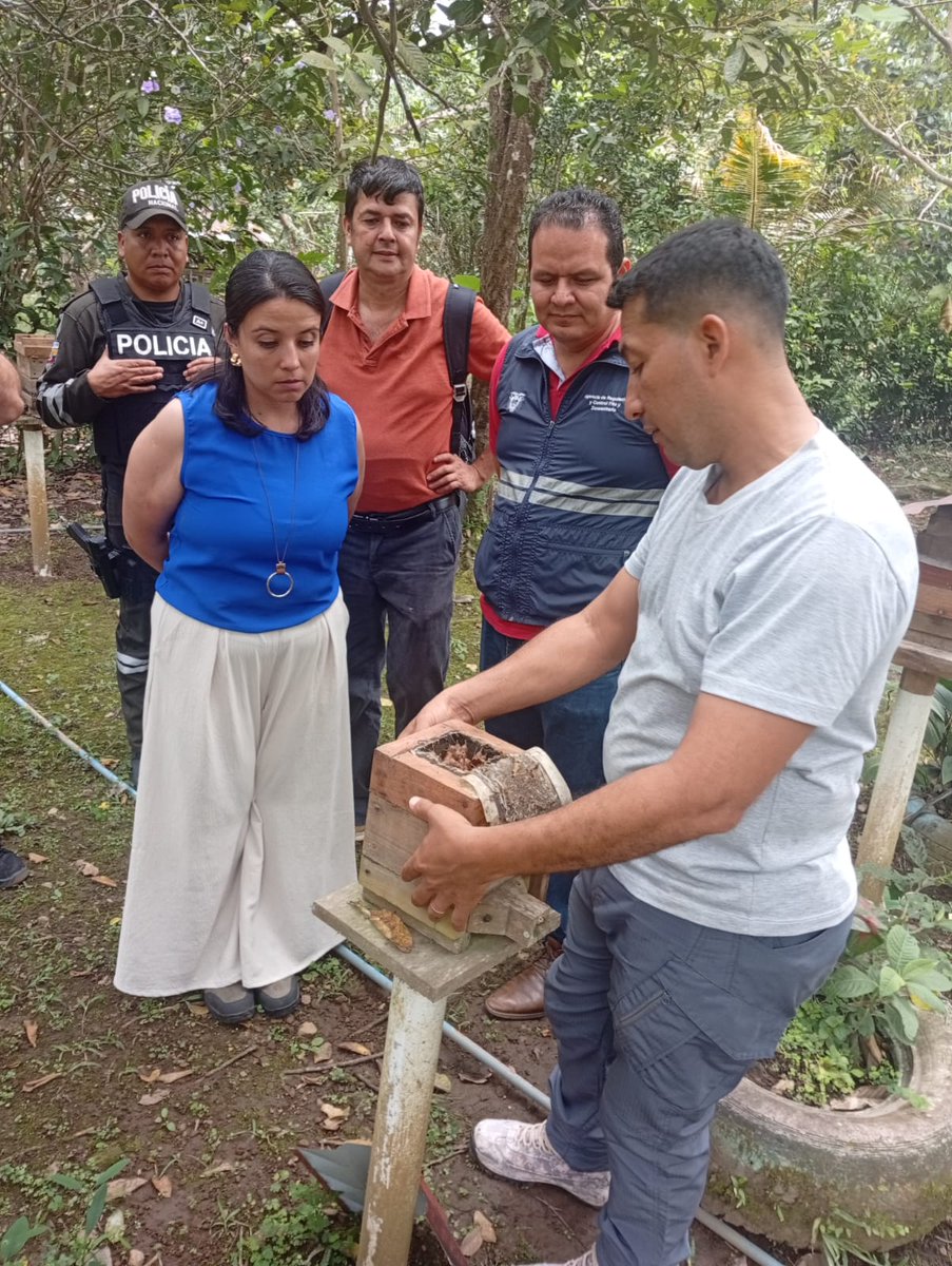 AgrocalidadZ2's tweet photo. #Orellana | 🍯📄 Entregamos certificado zoosanitario de producción, movilidad y funcionamiento a una explotación apícola del cantón Loreto.
Garantizamos la calidad e inocuidad de la miel y sus derivados. #PrevenciónSanitaria 🐝 https://t.co/3F0jCrdkmv