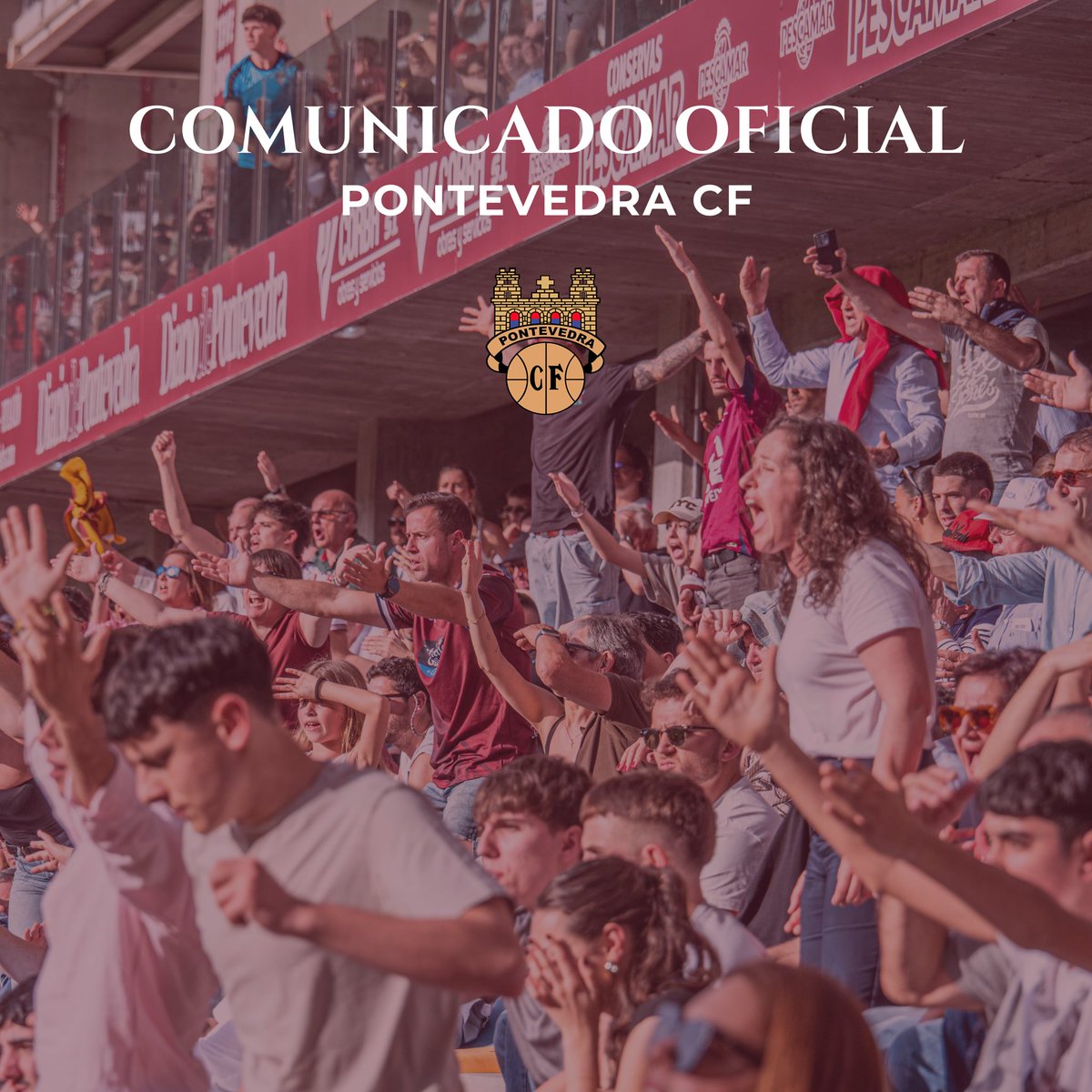 Pontevedra CF 🦴 tweet media
