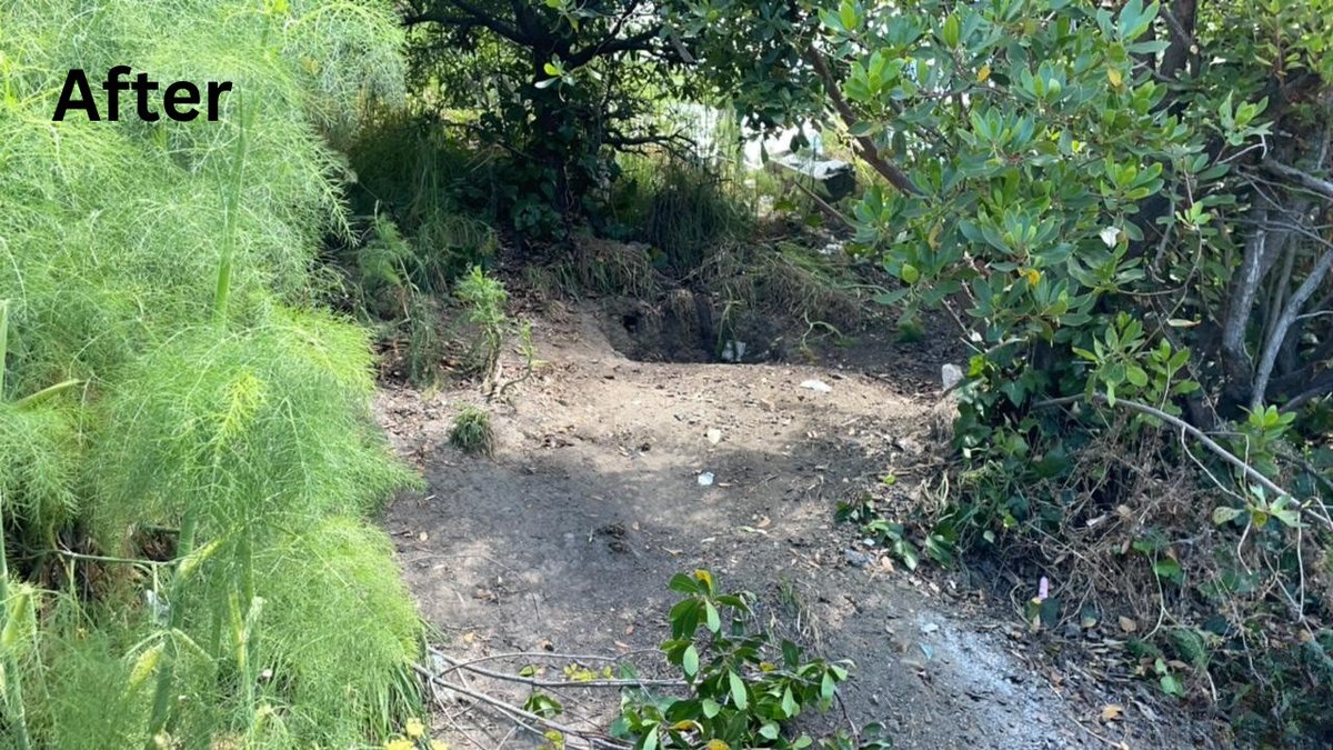 CaltransD4's tweet photo. For the safety of the traveling public, Caltrans crews cleared an encampment site along I-80 at McLaughlin St in Richmond, Contra Costa County.
Crews removed approximately 30 cubic yards of debris. Two individuals were offered services. #PublicSafety #CleanUpEffort https://t.co/51SRinN4ai