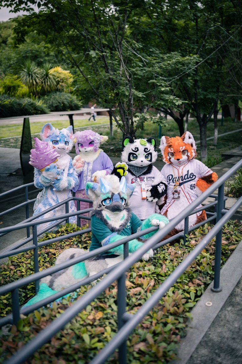 kuankuan2007's tweet photo. 毛五喵 https://t.co/I1rF45lSMA