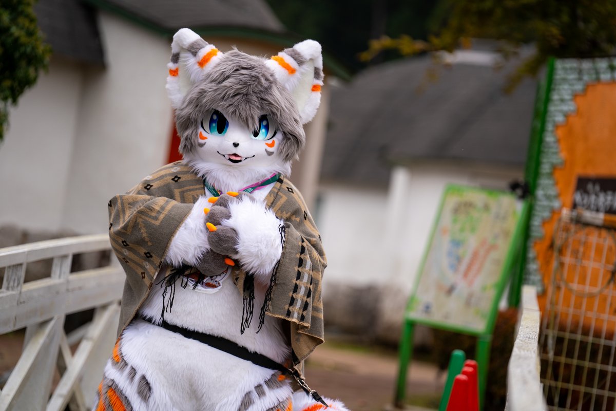 suomi_fur's tweet photo. 🐈🐾
#FursuitFriday https://t.co/cYY4dgdZjL