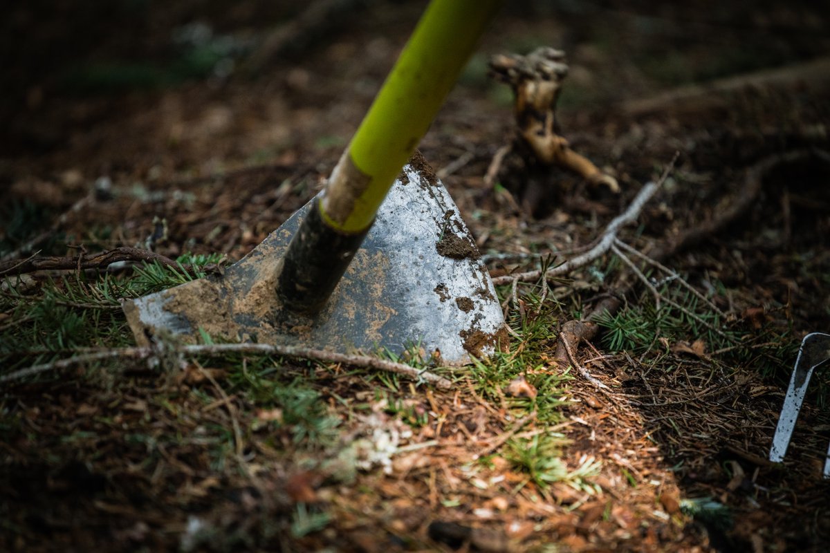 trailbuildermag's tweet photo. Trail Builder Magazine has always been bigger than a magazine.

We’re building independent media for the people who build, maintain, and advocate for trails.

No clickbait. No chasing algorithms. Just community-supported storytelling for trail builders. https://t.co/sAH4aSFGlG https://t.co/fgaRMntDEv
