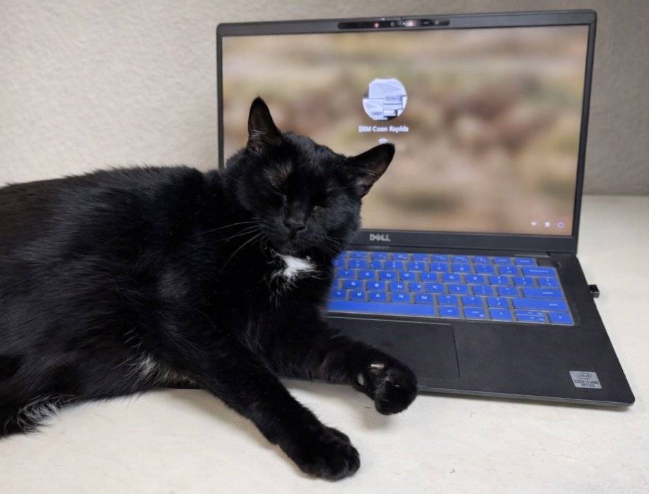ExperimaxCR's tweet photo. HELA DEAL 🐾  14" laptops from $179, while supplies last. These business-class computers are an excellent choice for budget-conscious consumers. Visit today and explore our new space in the historic Pratt House near downtown Anoka. Park in the house lot. #Experimax #LaptopDeals https://t.co/tvdiTlIrYj