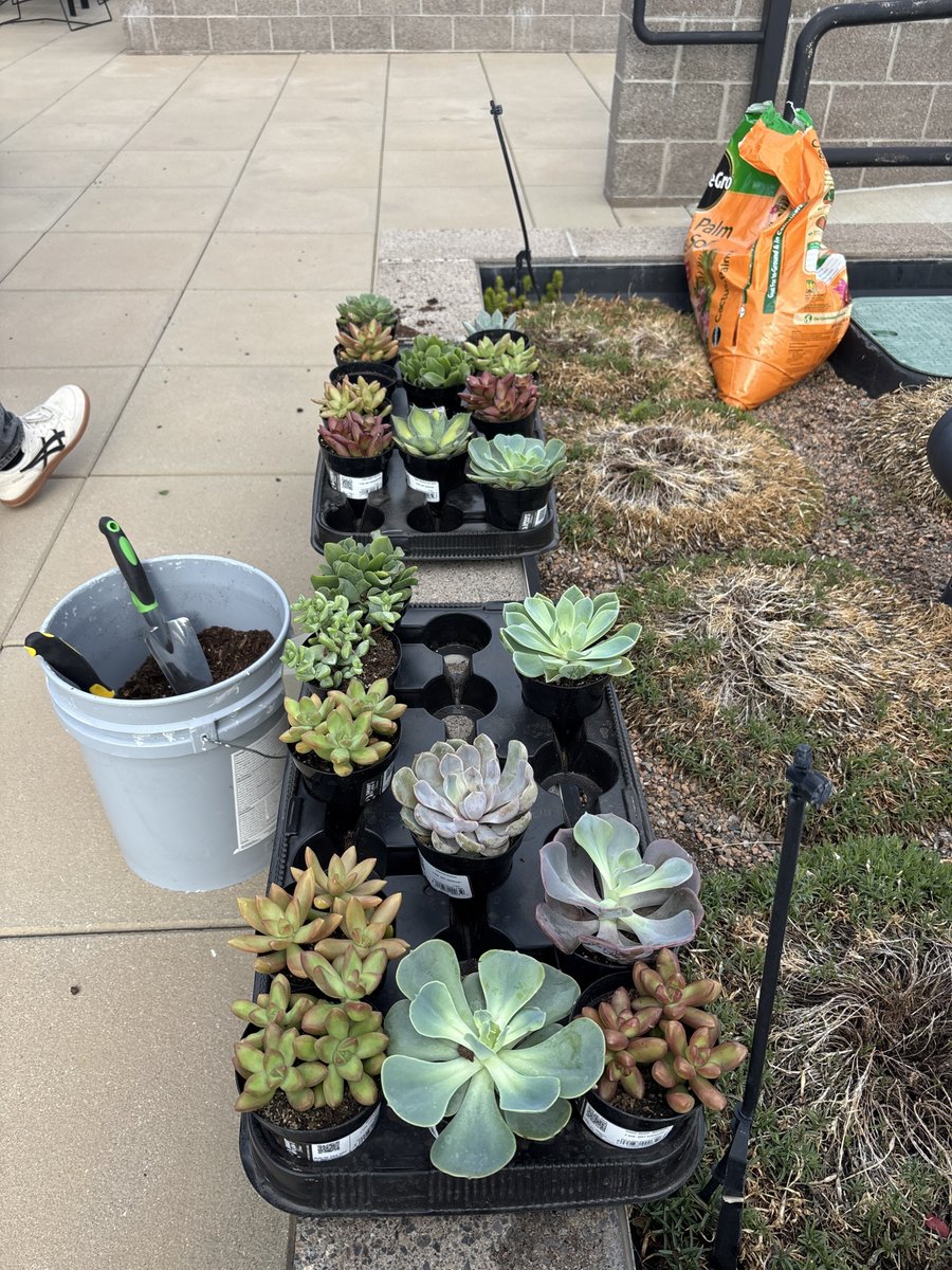 ModeraWestWash's tweet photo. 🎨 Thank you to everyone who joined our Paint a Pot event! We loved seeing your creativity and happy all the succulents found their new home 🪴 https://t.co/PQyu8qqpWV