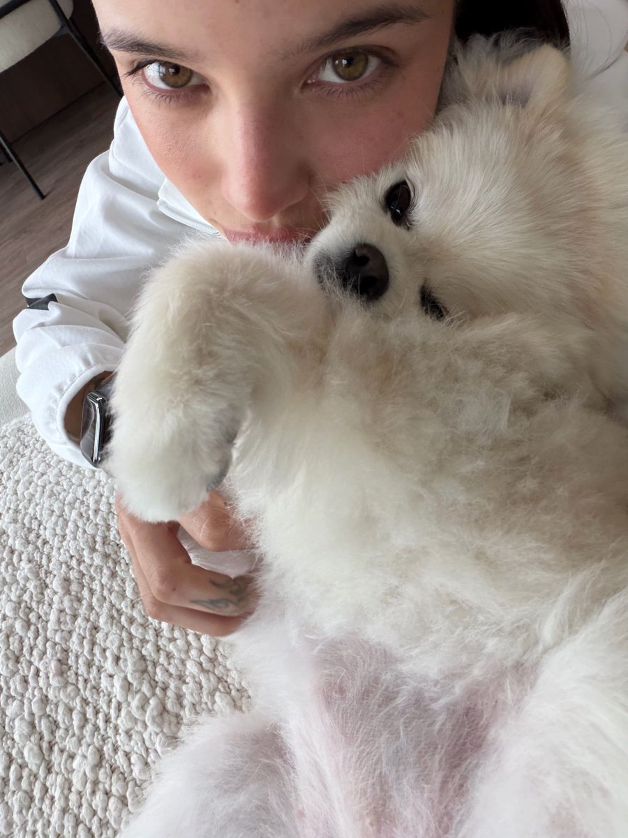 R0MASCR3W's tweet photo. El dúo más iconic volvió 🤍🐾 https://t.co/j2GRM2ji4X