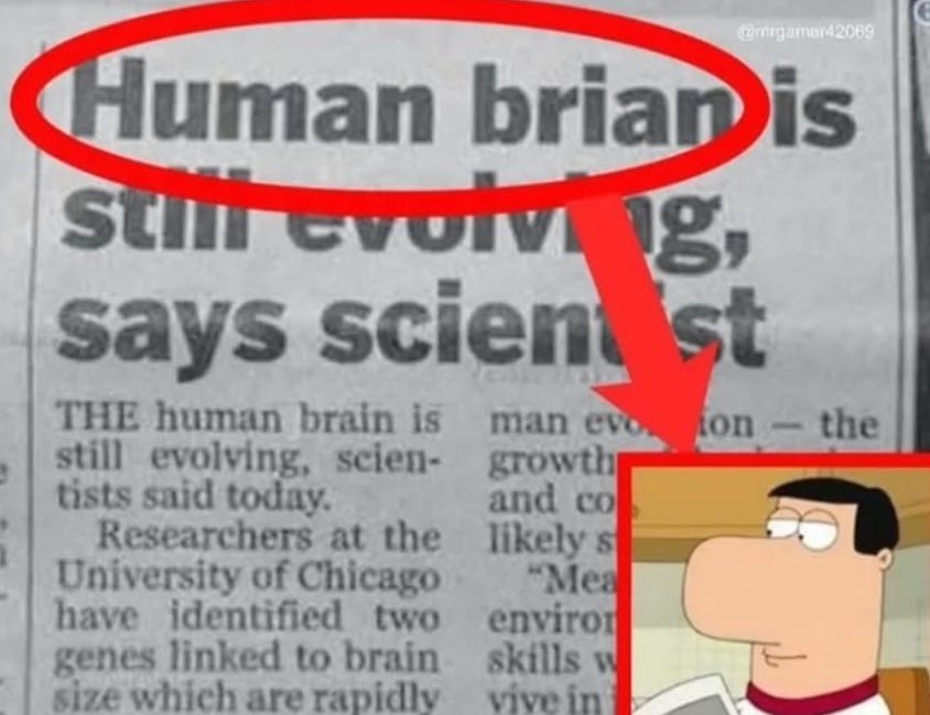 DailyShitpost tweet media