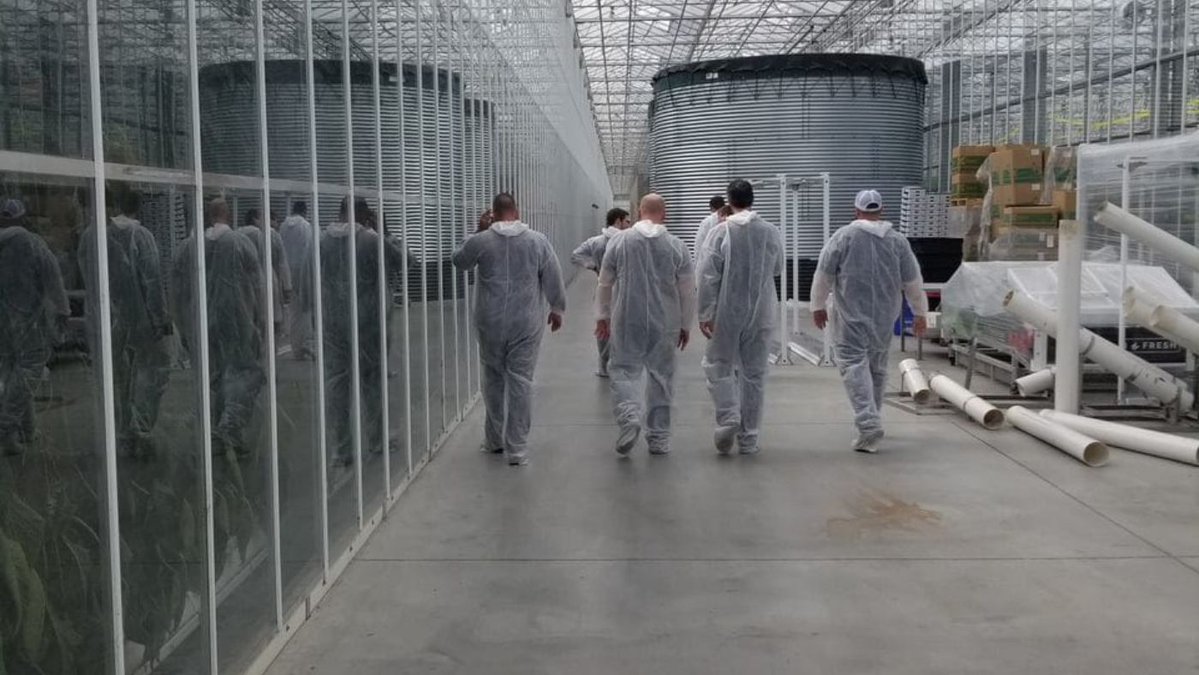 catalystbc_'s tweet photo. 🔥 Underperforming cannabis operations? We diagnose, stabilize, and create recovery plans offering fresh perspective without permanent hires.

👉 Learn more about our support services: https://t.co/XurIvdCzr9

#CannabisTurnaround #BusinessRecovery #CatalystBC #cannabisconsulting https://t.co/piYfrFk6EP