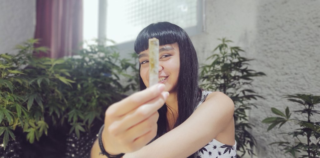 mexita420's tweet photo. Fumamos, bebimos y sudamos

🖤

Besan mejor las morritas Cannábicas 

Confirmo

#weedgirl #wine #plants #cannabis #420friendly #420girl #teen #flaquita #petite #nsft #morrita #colágeno #bdsm #sativa #hermosa #beauty https://t.co/GwaBzSbDG8