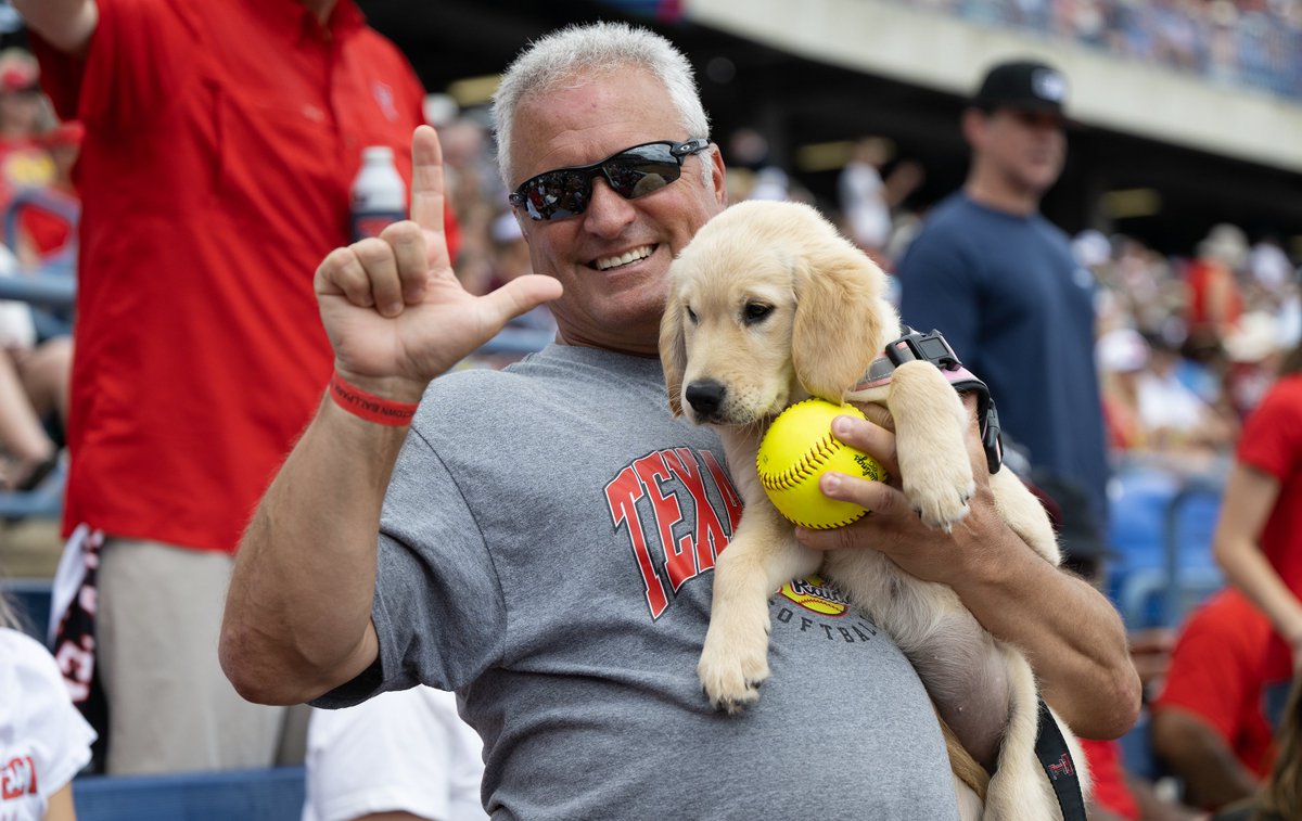 CollieronTV's tweet photo. Golden home run retriever https://t.co/sDlNcOveSX