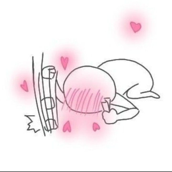 perfecthn's tweet photo. reaksi gua liat foto kucing tiyun https://t.co/Oit29zESk4