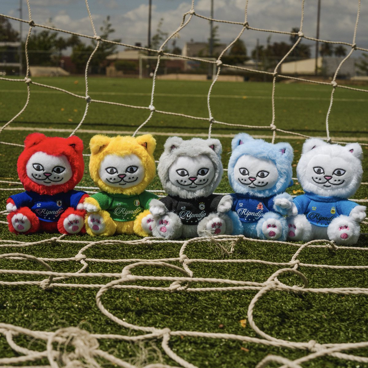 RIPNDIP tweet media