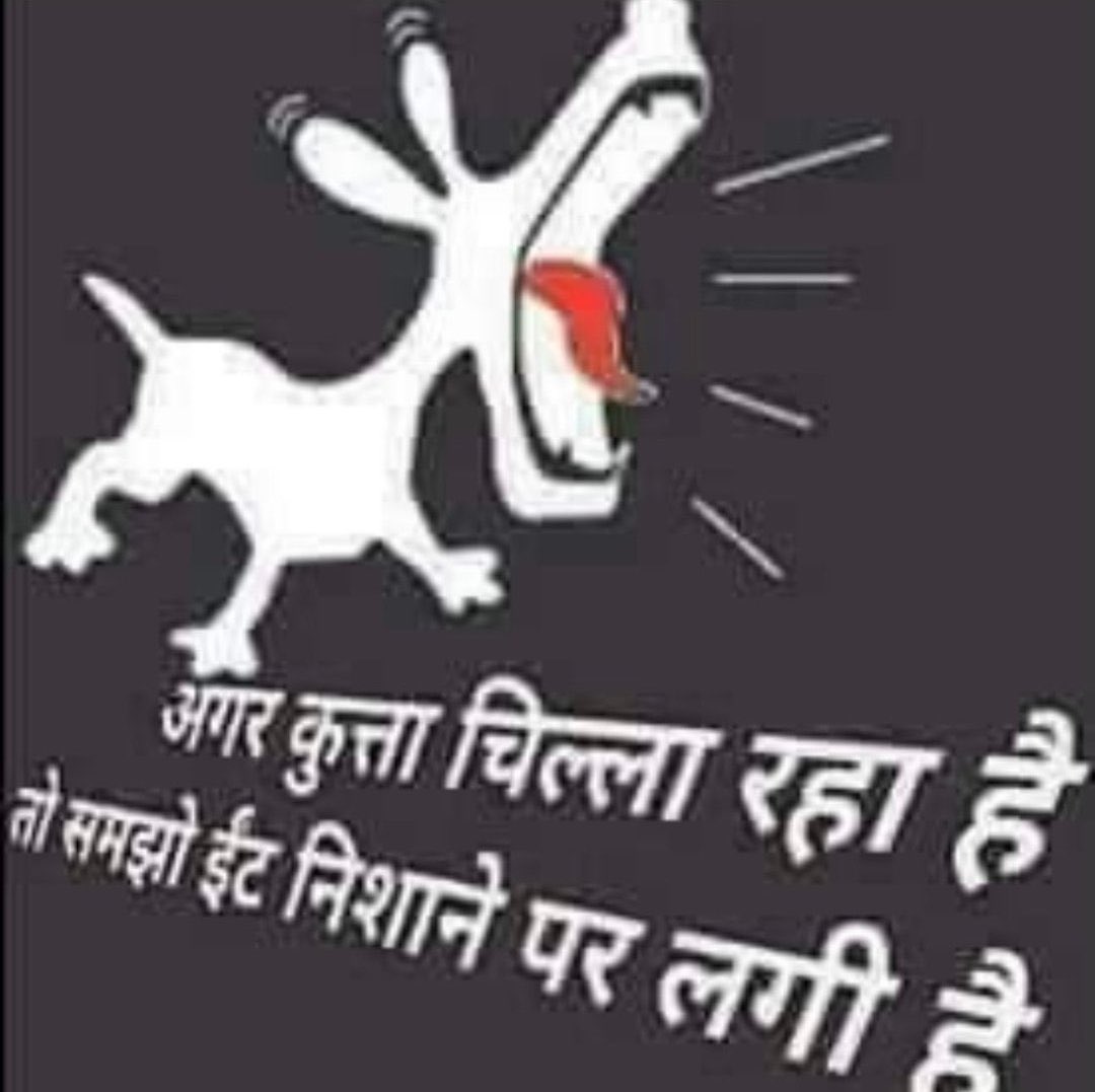 तिलचट्टा ( CockRoach) tweet media