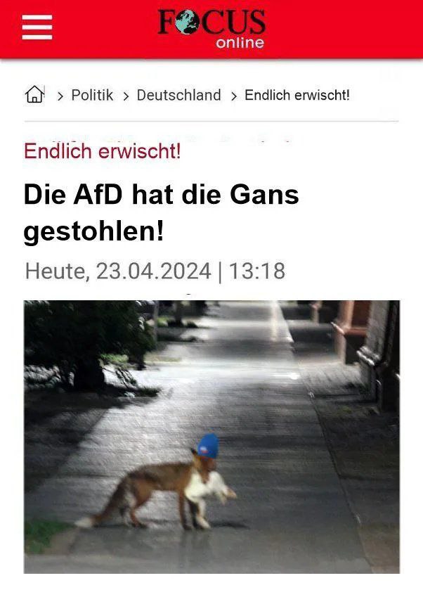 DanielSchweiss's tweet photo. @Ella_von_T https://t.co/nYXyFgjHnu