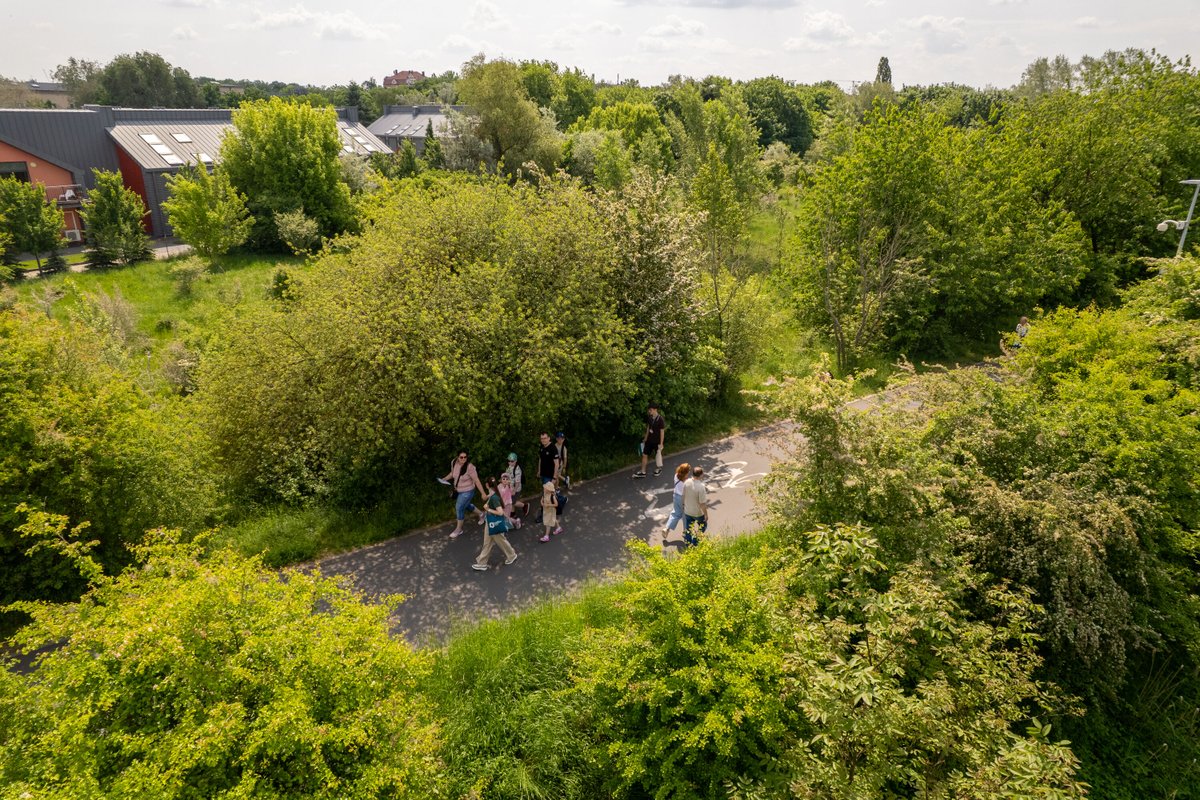 funduszeuewlkp's tweet photo. Lupy, lornetki i miejska natura. Tak wyglądał spacer wzdłuż Wartostrady podczas Funduszowego Maja w Poznaniu.

Uczestnicy ruszyli z Eksperymentalnego Ogrodu Dziedzictwa przy Bramie Poznania, żeby odkrywać przyrodę, którą często mijamy na co dzień.

rAZem odkrywamy naturę! https://t.co/lTsA4wwTim